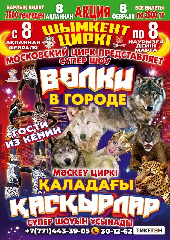 Купить Билеты В Цирк В Городе Шахты