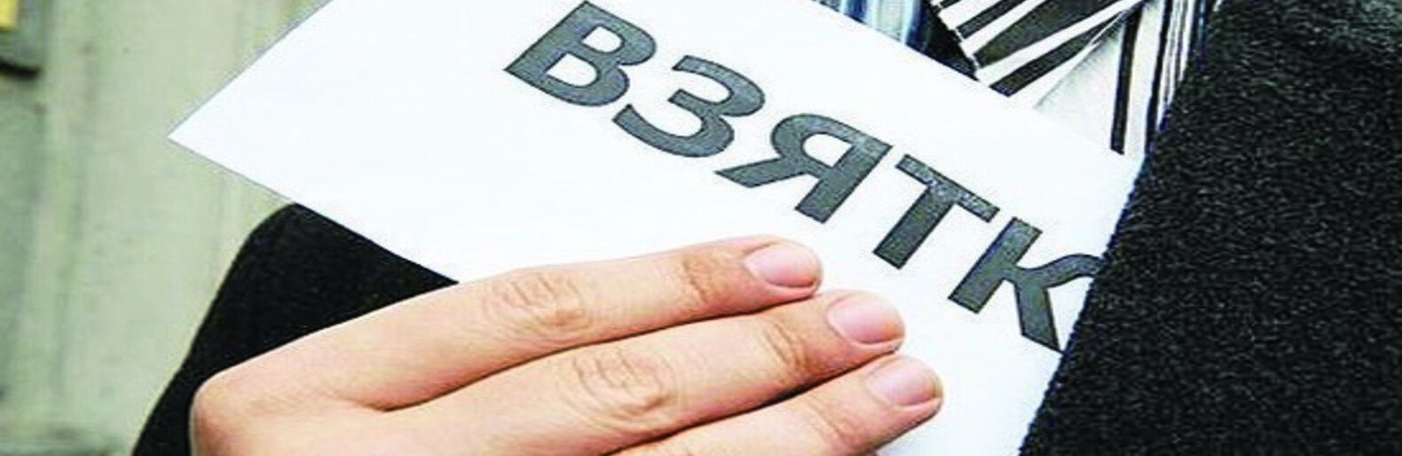 Источник: brl.mk.ru. Источник: brl.mk.ru., Наталья Куцай